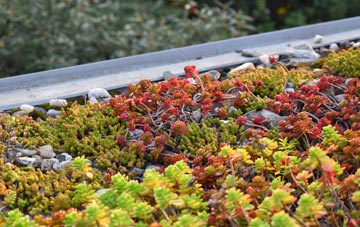 the cost of Kensal Green green roof installation