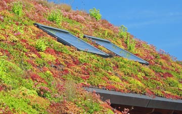 Kensal Green living roof systems